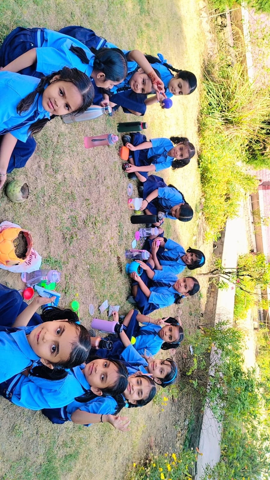 Seed Ball Activity  _ 2026